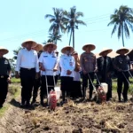 Bupati Bondowoso dan Santri Se-Jawa Timur Tanam Jagung Serentak Dukung Swasembada Pangan