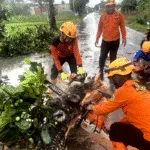 BPBD Bondowoso Gerak Cepat Lakukan Evakuasi