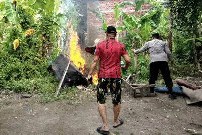 Polisi Bongkar Arena Sabung Ayam di Sidoarjo Respon Cepat Pengaduan Masyarakat