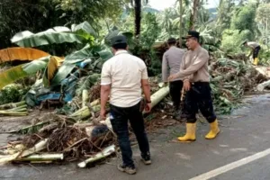 Polres Malang bersama Polsek Sumbermanjing Wetan mendirikan posko darurat di Balai Desa Sitiarjo, sekaligus membantu warga membersihkan lumpur yang menutupi rumah dan jalan.