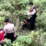 Anjing K-9 Polda Jatim Jadi Kunci Terungkapnya Identitas Korban Mutilasi Pacet