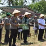 Polres dan Pemkab Bondowoso Kompak Dukung Program Ketahanan Pangan Lewat Penanaman Jagung Serentak