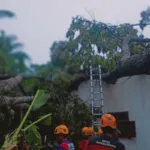 Kepala Bidang Penanganan Kedaruratan BPBD Bondowoso, Yuliono Triandana, menyampaikan bahwa dua wilayah yang terdampak adalah Dusun Krajan, Desa Kejayan, Kecamatan Pujer, dan Desa Ardisaeng, Kecamatan Pakem.