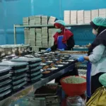 Dengan desain yang lebih ergonomis dan mudah digunakan, packaging ini memudahkan B3 dalam mengkonsumsi makanan bergizi tanpa harus khawatir tentang kebersihan dan keamanan.