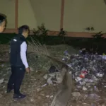 Patroli Malam Pol PP Bondowoso Ungkap Tumpukan Sampah Liar