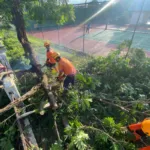 Angin Kencang Terjang Kawasan Stadion Magenda, BPBD Bondowoso Lakukan Penanganan Cepat
