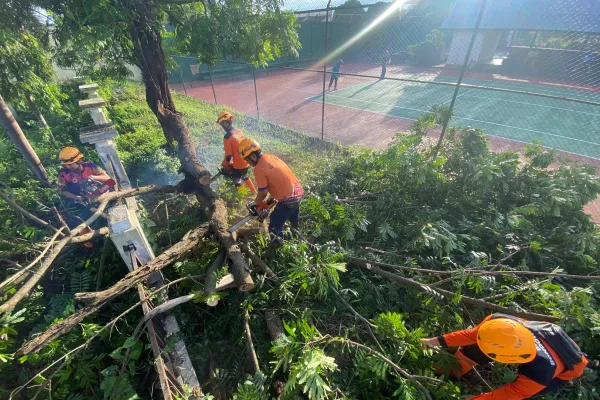 Angin Kencang Terjang Kawasan Stadion Magenda, BPBD Bondowoso Lakukan Penanganan Cepat
