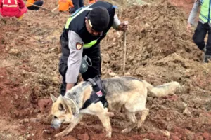 Anjing Pelacak Dikerahkan, Polri Genjot Pencarian Korban Longsor Cilacap