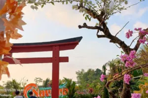 Akses Jalan Rusak, Pemilik Navara Water Park Desak Pemkab Bergerak Cepat: 50% Wisatawan Luar Kota Mengeluh!