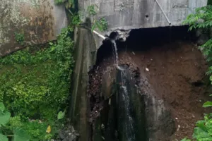 Tembok Penahan Tanah Rumah Makan di Bondowoso Longsor, BPBD Lakukan Asesmen Cepat