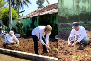 Kolaborasi Lintas Sektor, Pemkab Bondowoso Melalui DPKP Genjot Ketahanan Pangan dari Pekarangan