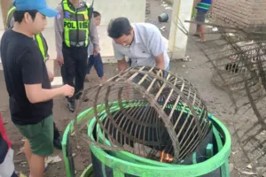 Resahkan Warga, Dua Lokasi Judi Sabung Ayam di Sidoarjo Dibongkar Polisi