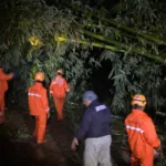 Longsor Terjang Pakem, BPBD Bondowoso Gerak Cepat Lakukan Penanganan