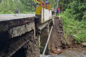 Jembatan Kauman Longsor, BPBD Bondowoso Bergerak Cepat