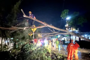 Cuaca Ekstrem Terjang 12 Desa, BPBD Bondowoso Bergerak Cepat Pastikan Situasi Terkendali