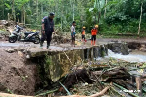 Banjir Drainase di Pakem Bondowoso, Bahu Jalan Tergerus BPBD Lakukan Assessment Cepat