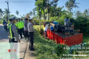 Ikuti Maps, Truk Terjun ke Sawah! Jalur Ekstrem Bondowoso Makan Korban