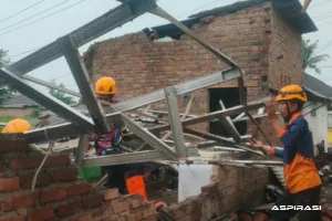 Angin Kencang Terjang Bondowoso, Belasan Rumah Rusak dan Pohon Tumbang Tutup Jalan