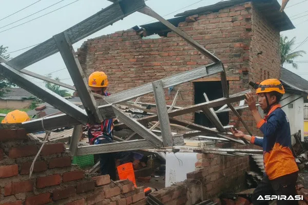 Angin Kencang Terjang Bondowoso, Belasan Rumah Rusak dan Pohon Tumbang Tutup Jalan