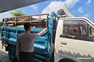 Truk Pengangkut Kayu Ilegal Digagalkan, Polres Malang Bongkar Dugaan Pembalakan Hutan di Sumbermanjing Wetan