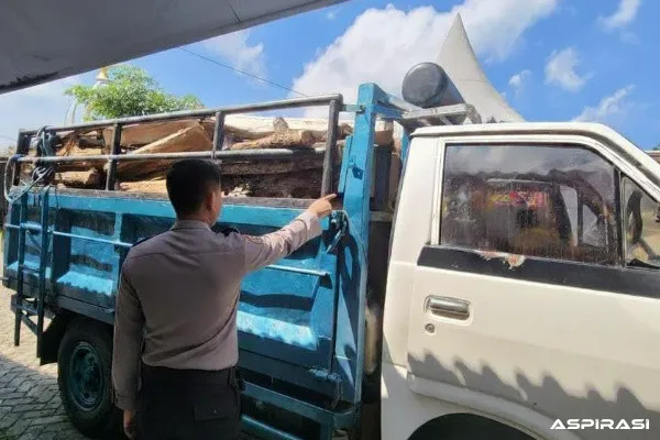 Truk Pengangkut Kayu Ilegal Digagalkan, Polres Malang Bongkar Dugaan Pembalakan Hutan di Sumbermanjing Wetan