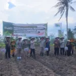 Bupati Bondowoso Tegas Bela Petani Tembakau: “Jangan Bunuh Rakyat dengan Regulasi”