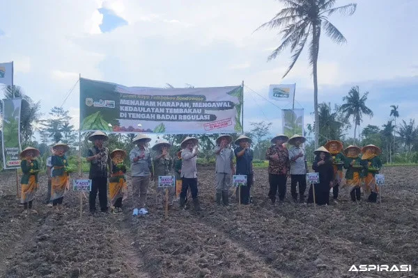 Bupati Bondowoso Tegas Bela Petani Tembakau: “Jangan Bunuh Rakyat dengan Regulasi”
