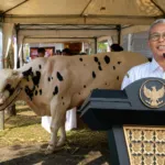 Setelah Enam Tahun Vakum, Kontes Ternak Bondowoso 2026 Kembali Digelar, Peternak Sambut Antusias