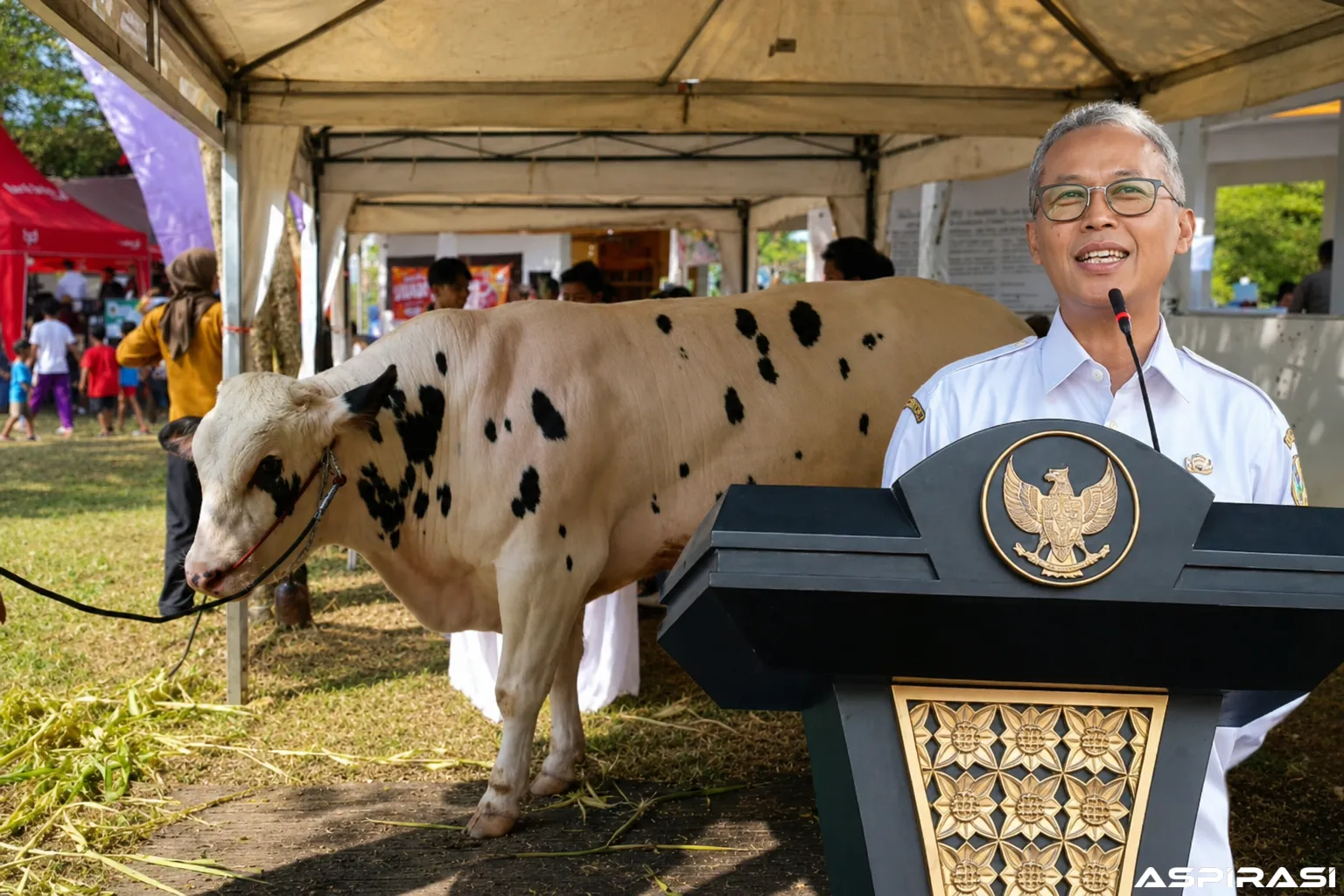 Setelah Enam Tahun Vakum, Kontes Ternak Bondowoso 2026 Kembali Digelar, Peternak Sambut Antusias