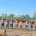 Bondowoso Perkuat Swasembada Pangan, Pertanian Organik Berbasis Sains Dongkrak Produktivitas hingga 6,5 Ton per Hektare