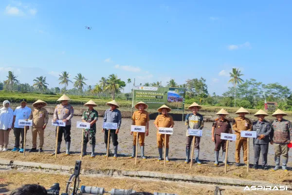 Bondowoso Perkuat Swasembada Pangan, Pertanian Organik Berbasis Sains Dongkrak Produktivitas hingga 6,5 Ton per Hektare