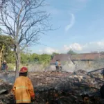 Tiga Rumah Ludes Terbakar di Botolinggo, Kerugian Ditaksir Rp150 Juta