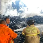 Pabrik Arang di Tlogosari Bondowoso Terbakar Hebat, Kerugian Ditaksir Capai Rp500 Juta
