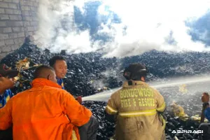 Pabrik Arang di Tlogosari Bondowoso Terbakar Hebat, Kerugian Ditaksir Capai Rp500 Juta
