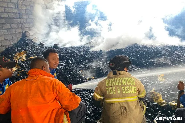 Pabrik Arang di Tlogosari Bondowoso Terbakar Hebat, Kerugian Ditaksir Capai Rp500 Juta