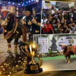 Usai Juara di Bondowoso, Kauzar Farm Kembali Tak Tertandingi, Borong Juara 1 di Blitar