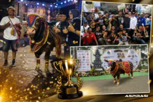 Usai Juara di Bondowoso, Kauzar Farm Kembali Tak Tertandingi, Borong Juara 1 di Blitar