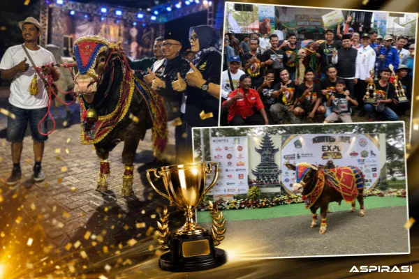 Usai Juara di Bondowoso, Kauzar Farm Kembali Tak Tertandingi, Borong Juara 1 di Blitar