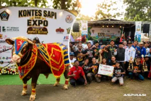 Kauzar Farm Kembali Harumkan Bondowoso, Raih Juara 1 Kontes Sapi di Blitar