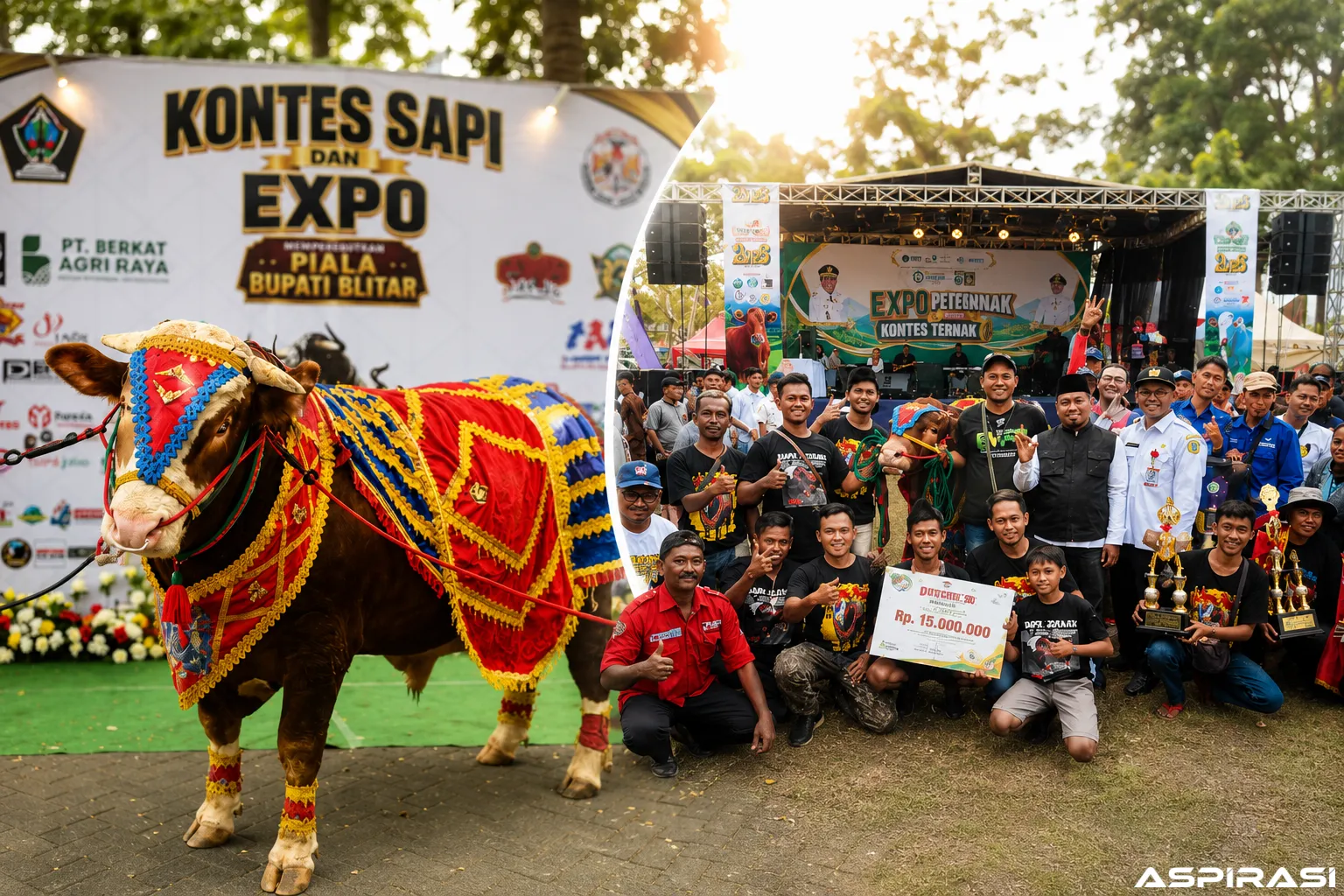 Kauzar Farm Kembali Harumkan Bondowoso, Raih Juara 1 Kontes Sapi di Blitar
