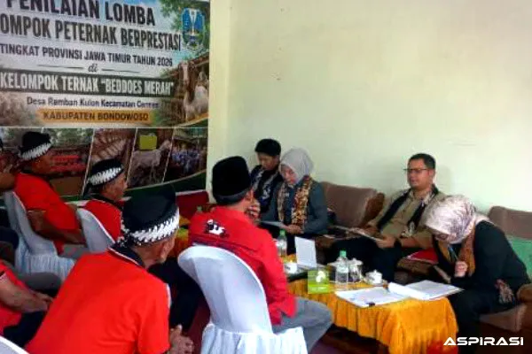 Kelompok Ternak Beddoes Merah Bondowoso Dinilai Tim Provinsi, Siap Harumkan Nama Daerah