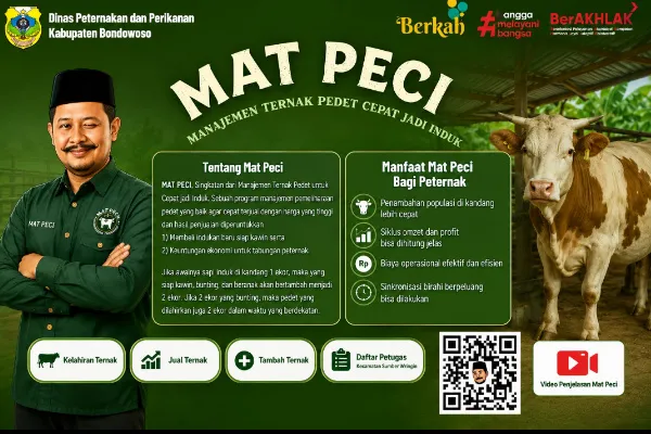 Dulu Buruh Tani Rp50 Ribu, Kini Feri Punya 16 Sapi