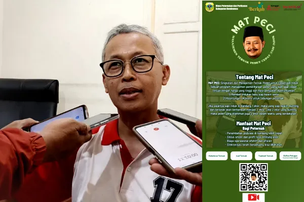 MAT PECI Dongkrak Keuntungan Peternak hingga 330 Persen, Bondowoso Bidik 70 Ribu Sapi