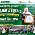 Bondowoso Berprestasi di Jawa Timur! Indra Wijaya Raih Terbaik Pertama, Disnakkan Bersyukur