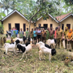 Bukan Sekadar Bagi Kambing! Disnakkan Bondowoso Bidik Penguatan Ekonomi Peternak