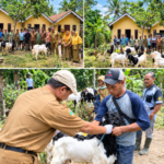 29 Kambing PE Mengalir ke Peternak Bondowoso, 26 Betina Jadi Modal Pengembangan