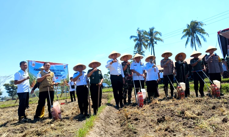 Santri Jadi Pelopor Ketahanan Pangan: Penanaman Jagung Serentak se-Jawa Timur Digelar di Ponpes Manbaul Ulum