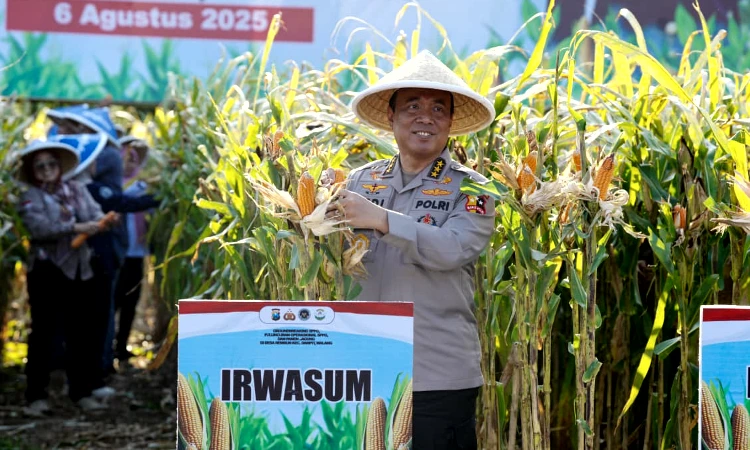Panen Raya Jagung di Malang: Kolaborasi Polri dan Petani Wujudkan Ketahanan Pangan Nasional