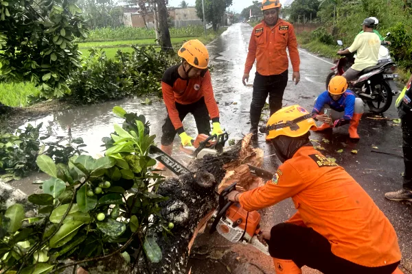 BPBD Bondowoso Gerak Cepat Lakukan Evakuasi