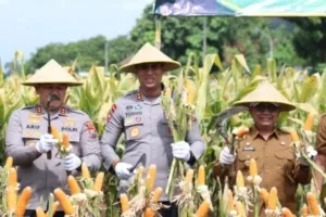 Kapolres Blitar Kota AKBP Titus Yudho Uly mengungkapkan, kegiatan panen raya ini merupakan hasil kerja sama berkesinambungan antara aparat kepolisian, Pemerintah Kabupaten Blitar, pihak perusahaan, dan para petani.